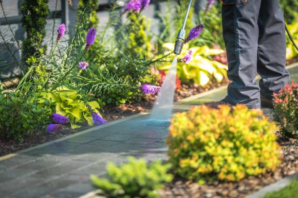Best Oil and Grease Removal from Surfaces in Ramblewood, NJ